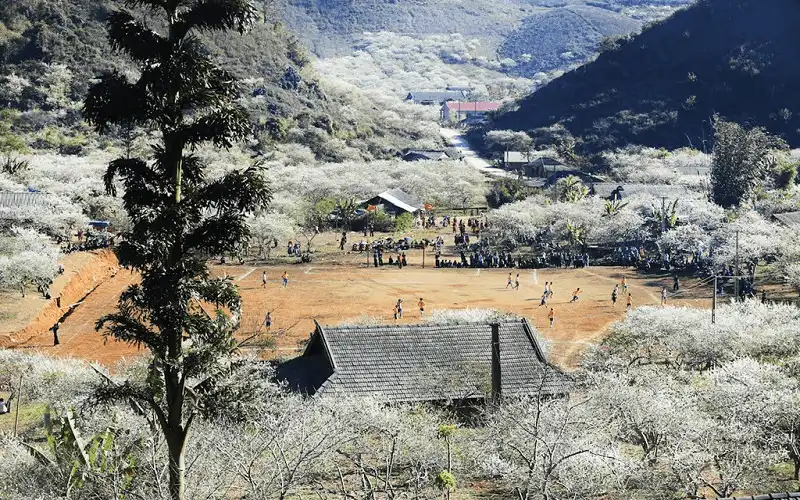 wanderlust tips nguoc ve moc chau ngam hoa man dang bung no trang mot goc troi 4