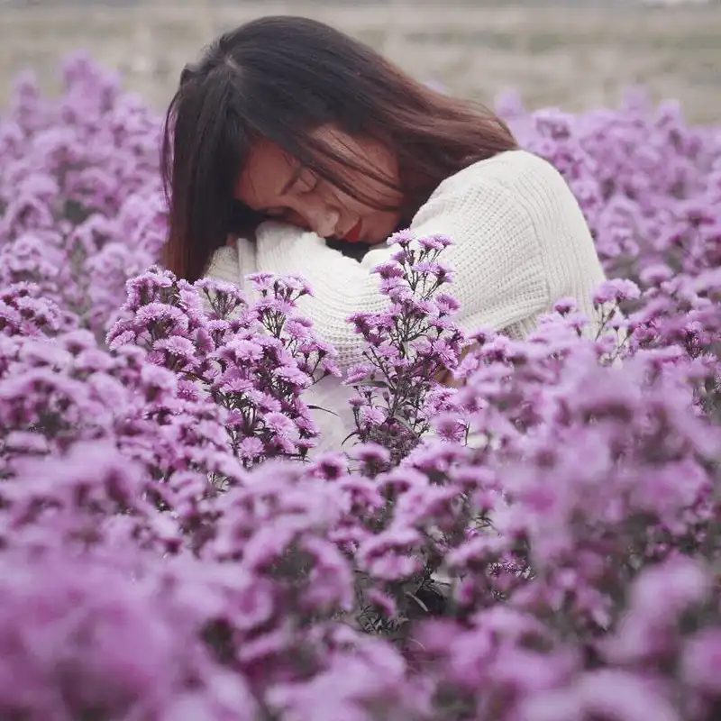 wanderlust tips ve dep lang man cua vuon hoa thach thao dang gay sot o ba ria vung tau 6