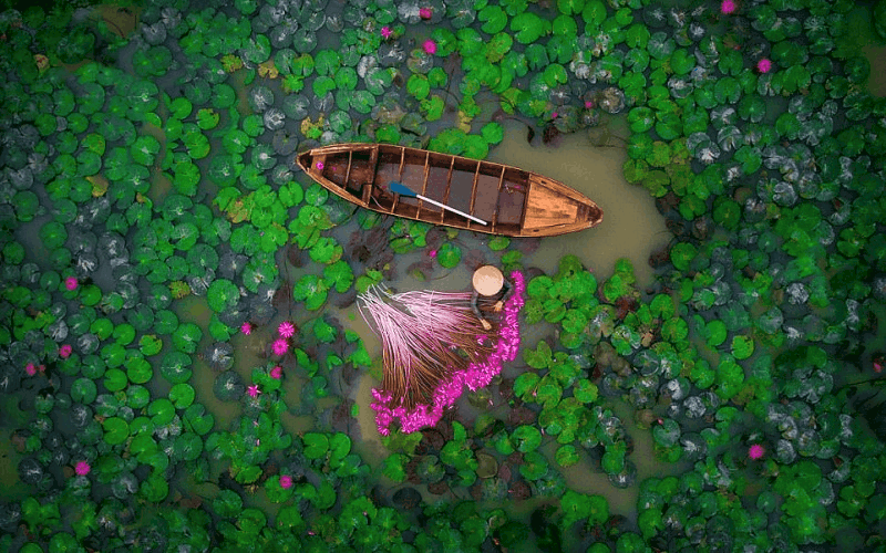 20 bức ảnh chụp từ trên cao đẹp nhất trong năm 2017