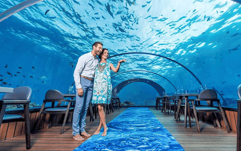 Chiêm ngưỡng vẻ lung linh của nhà hàng kính dưới nước lớn nhất thế giới 5 wanderlust tips chiem nguong ve lung linh cua nha hang kinh duoi nuoc lon nhat gioi 3