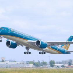 wanderlust tips Vietnam Airlines van chuyen dao mai dip Tet Mau Tuat 2018 11