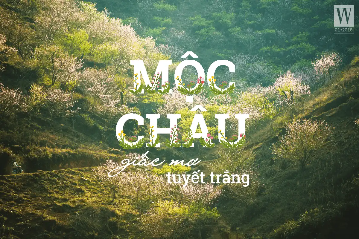 wanderlust tips moc chau giac mo tuyet trang5
