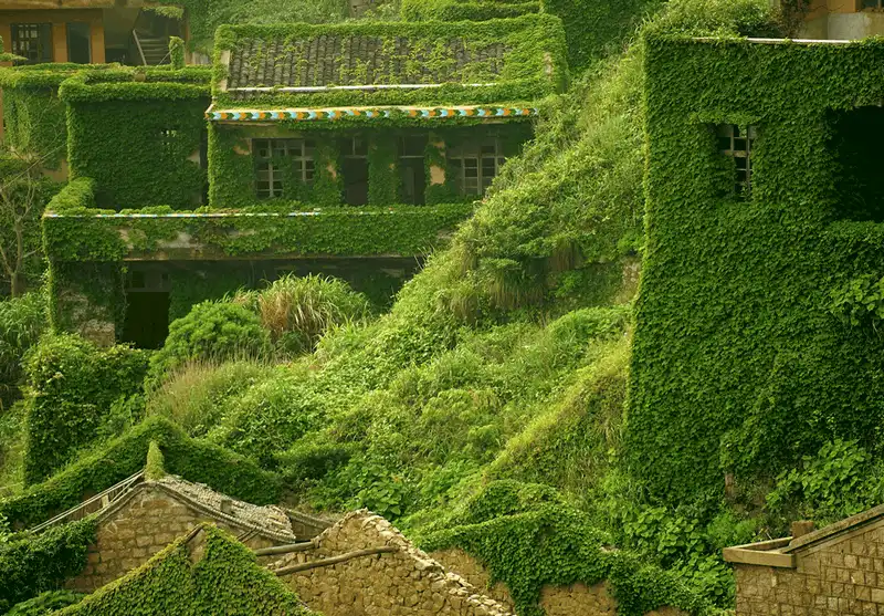 Houtou Wan: Ngôi làng bỏ hoang trở thành địa điểm du lịch nổi tiếng vì bị cây cỏ phủ xanh 8 Wanderlust Tips ngôi làng bỏ hoang Houtou Wan trở thành địa điểm du lịch nổi tiếng vì bị cây cỏ phủ xanh