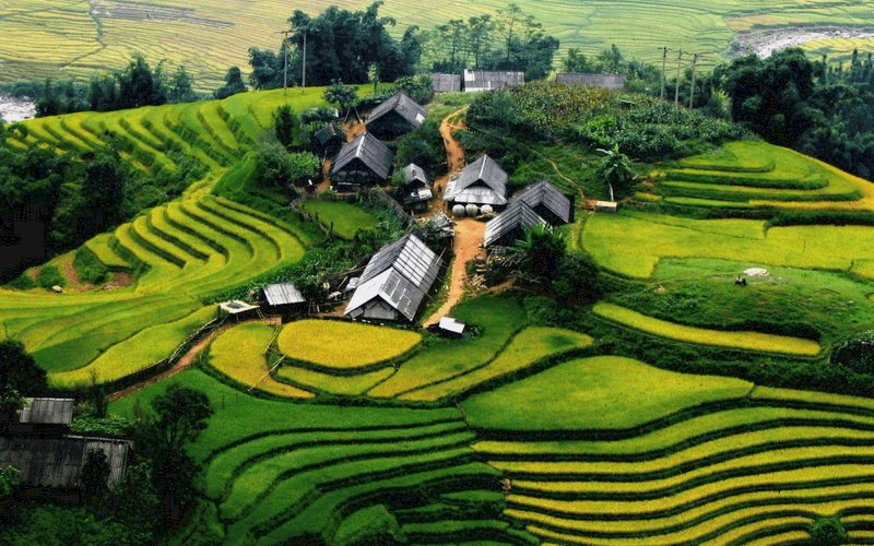wanderlust tips 8 diem den khong the bo lo o sapa vao buoi chieu 11