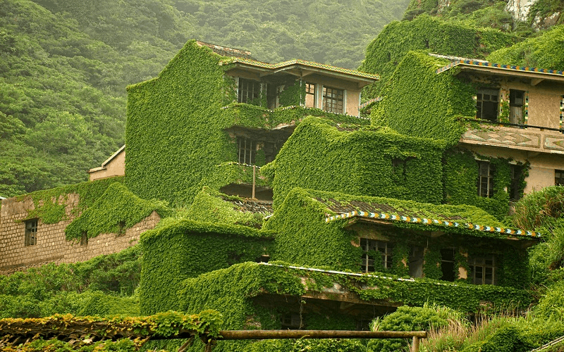 Houtou Wan: Ngôi làng bỏ hoang trở thành địa điểm du lịch nổi tiếng vì bị cây cỏ phủ xanh 5 wanderlust tips ngoi lang bo hoang tro thanh dia diem du lich noi tieng vi bi cay co phu xanh 1