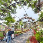 wanderlust tips thanh dia song ao tai Da Lat thu nho giua trung tam Bien Hoa 1288