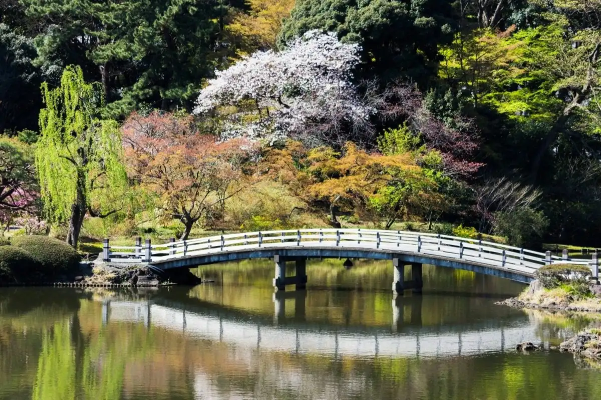 cong-vien-Shinjuku-Gyoen
