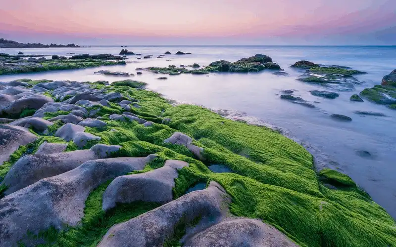 wanderlust lap dep nao long bai da bien co thach 4