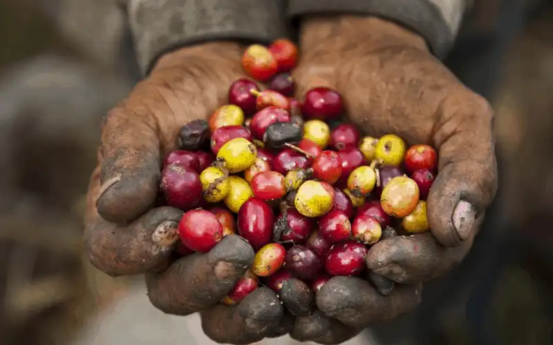 wanderlust tips 10 li do khien ban phai ghe tham Colombia 10