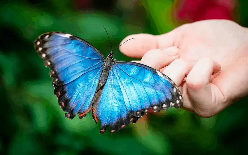 wanderlust tips 10 li do khien ban phai ghe tham Colombia 2