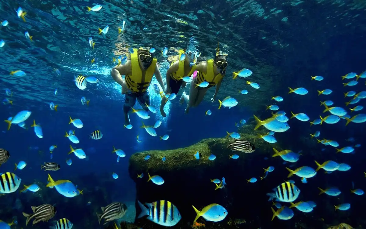 wanderlust tips 8 diem den khong the bo lo o ha noi vao buoi chieu2