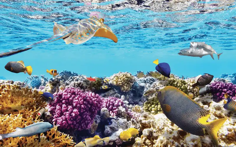 wanderlust tips Quan dao Nam Du Maldives cua Viet Nam 14