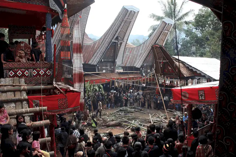 wanderlust tips Sung sot voi tour du lich ki quac nhat hanh tinh 2