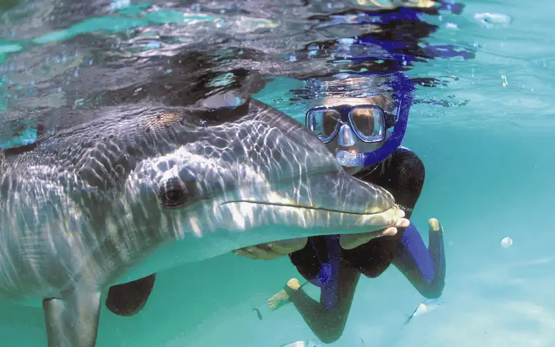 Đến Bahamas bạn cần phải làm ngay 5 điều này 8 wanderlust tips den Bahamas ban can lam 05 dieu nay 6