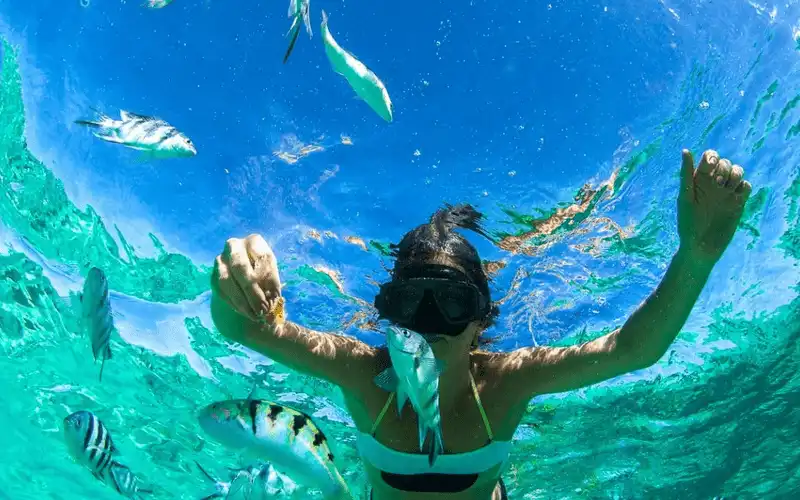 Đến Bahamas bạn cần phải làm ngay 5 điều này 9 wanderlust tips den Bahamas ban can lam 05 dieu nay 8