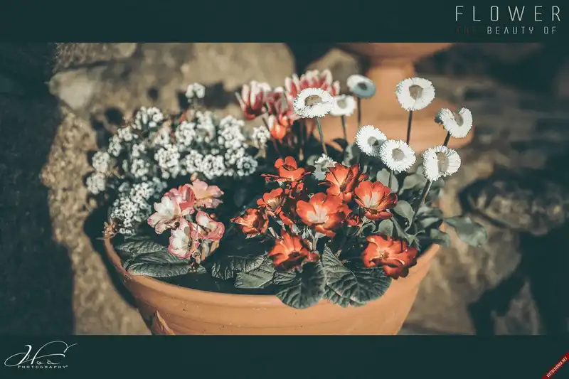 Đừng quên 5 app "sống ảo" miễn phí khi đi du lịch 12 wanderlust tips dung quen 5 app song ao mien phi khi di du lich 2