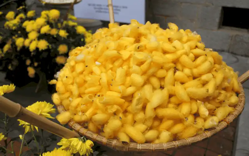 wanderlust tips hop bao ra mat Tuan le Thoi trang Viet Nam Italia Thu Dong 2018 5