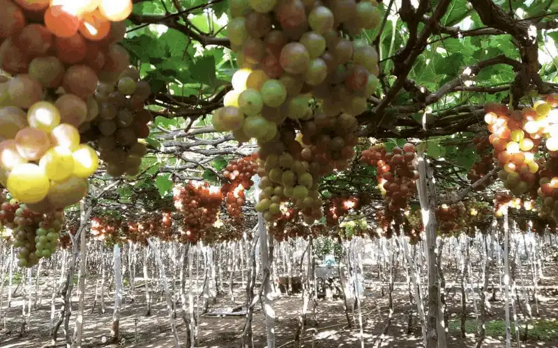 wanderlust tips kham pha ve dep me ly cua Vinh Vinh Hy 1