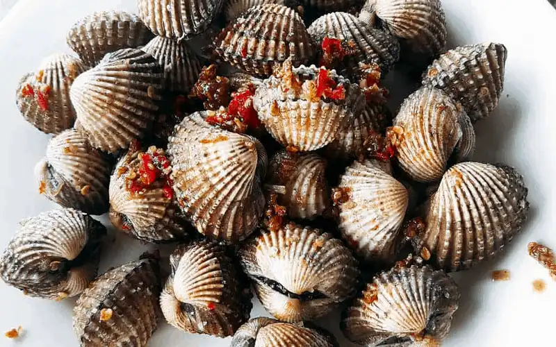 Khám phá vùng đất trên phim "Tôi thấy hoa vàng trên cỏ xanh" 36 wanderlust tips kham pha vung dat tren pphim Toi thay hoa vang tren co