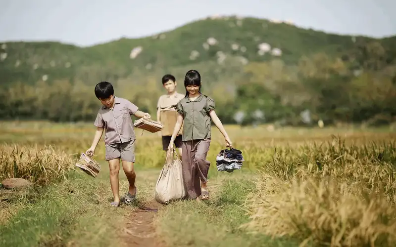 wanderlust tips kham pha vung dat tren pphim Toi thay hoa vang tren co