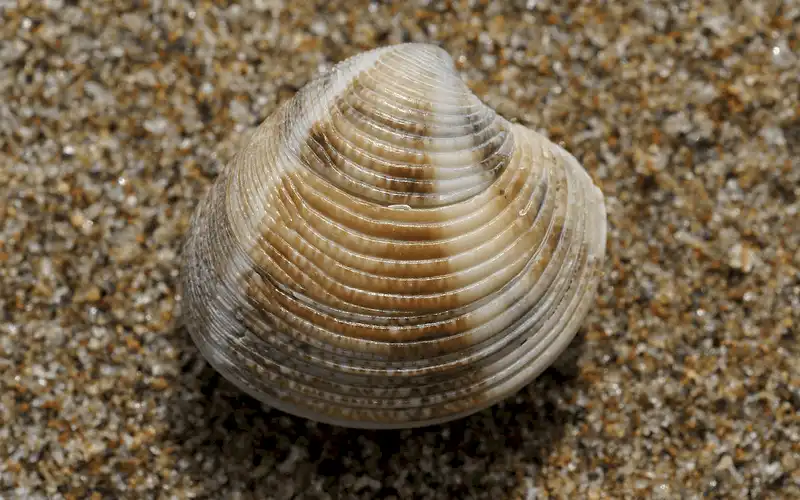 wanderlust tips ki nang sinh ton khi bi troi dat vao dao hoang 1