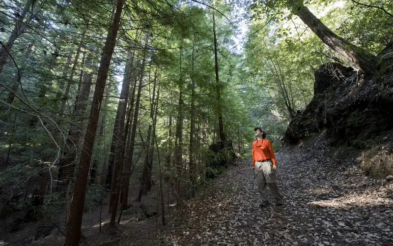 wanderlust tips lam sao de song xot khi di du lich rung 9