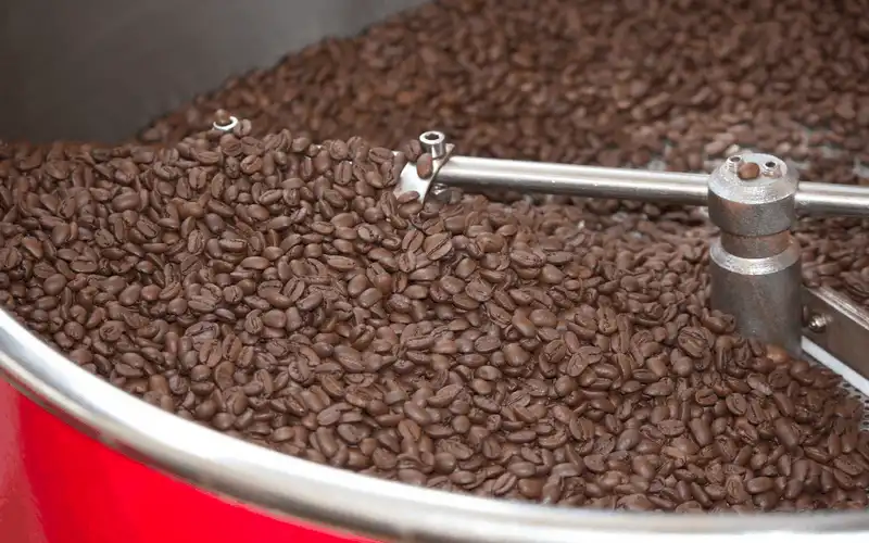 wanderlust tips nauy dang thay doi cach uong ca phe cua chung ta 4