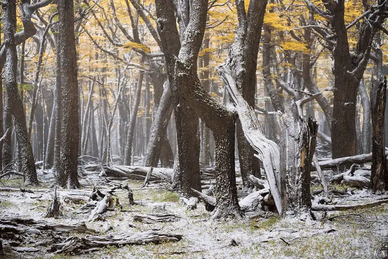 Ngắm nhìn 21 bức ảnh về Patagonia - nơi tận cùng trái đất 14 wanderlust tips ngam nhin 24 buc anh ve Patagonia thien duong du lich tan cung trai dat 10