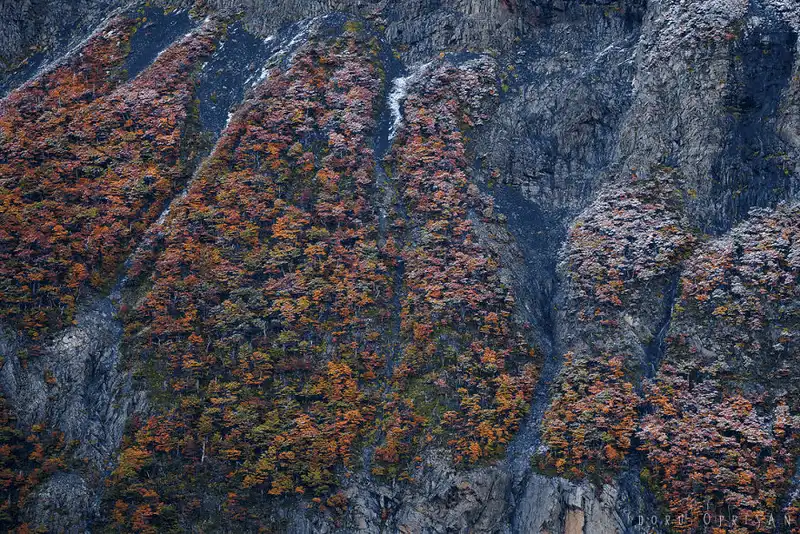 Ngắm nhìn 21 bức ảnh về Patagonia - nơi tận cùng trái đất 18 wanderlust tips ngam nhin 24 buc anh ve Patagonia thien duong du lich tan cung trai dat 14