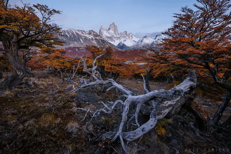 Ngắm nhìn 21 bức ảnh về Patagonia - nơi tận cùng trái đất 9 wanderlust tips ngam nhin 24 buc anh ve Patagonia thien duong du lich tan cung trai dat 5