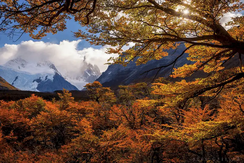 Ngắm nhìn 21 bức ảnh về Patagonia - nơi tận cùng trái đất 10 wanderlust tips ngam nhin 24 buc anh ve Patagonia thien duong du lich tan cung trai dat 6