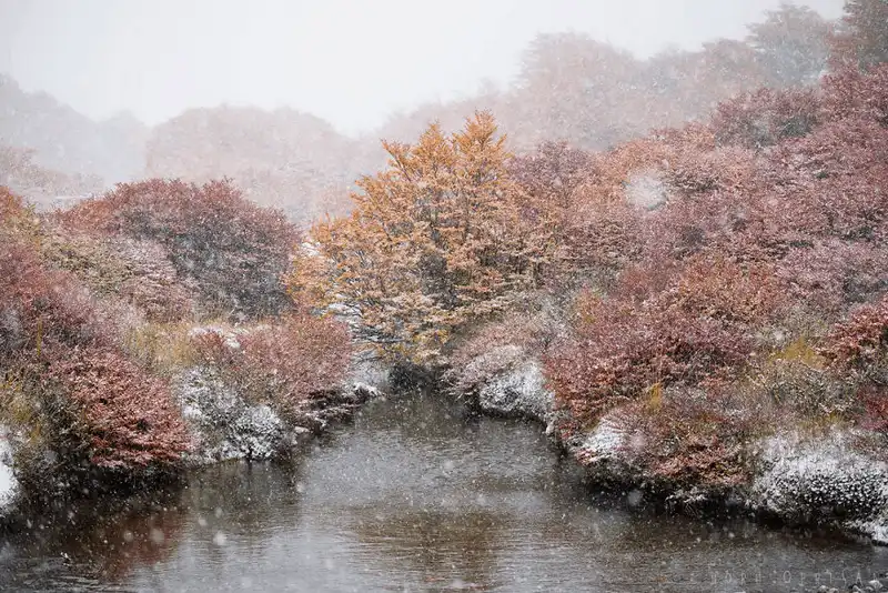 Ngắm nhìn 21 bức ảnh về Patagonia - nơi tận cùng trái đất 12 wanderlust tips ngam nhin 24 buc anh ve Patagonia thien duong du lich tan cung trai dat 8