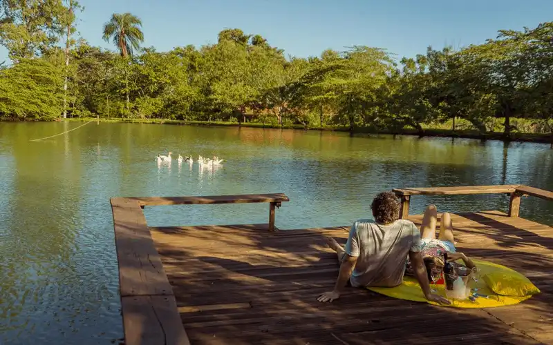 Lập kế hoạch chuyến đi tới Pantanal, Brazil 11 wanderlust tips nlap ke hoach chuyen di cua ban toi Patanal 4