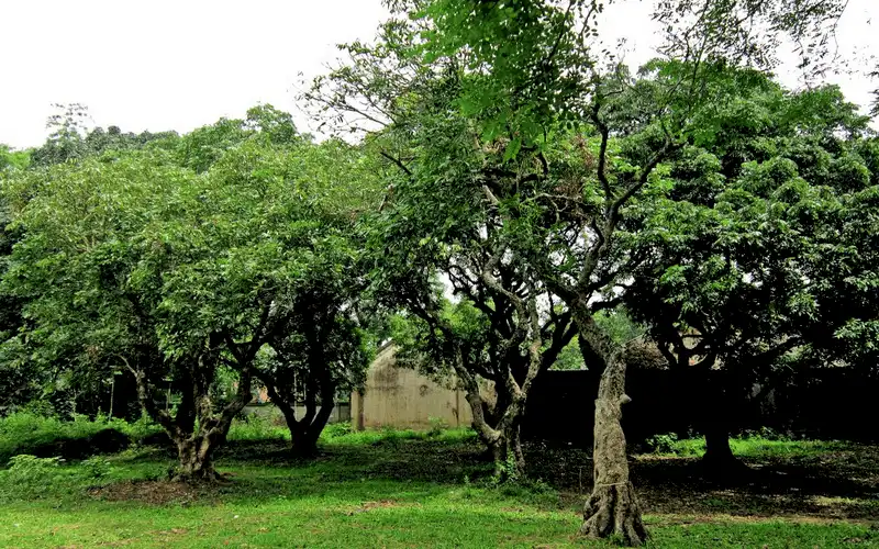 wanderlust tips tat tan tat kinh nghiem du lich Bac Lieu 18