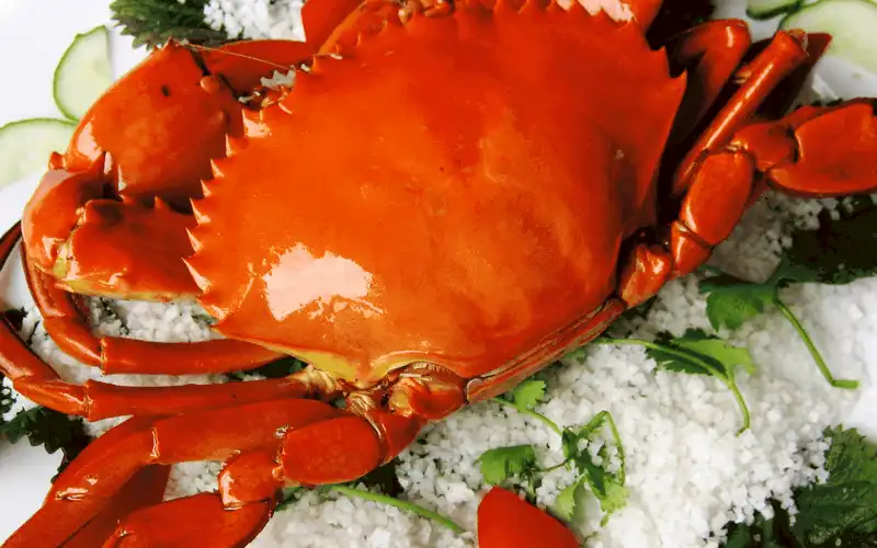 wanderlust tips tat tan tat kinh nghiem du lich Bac Lieu 9