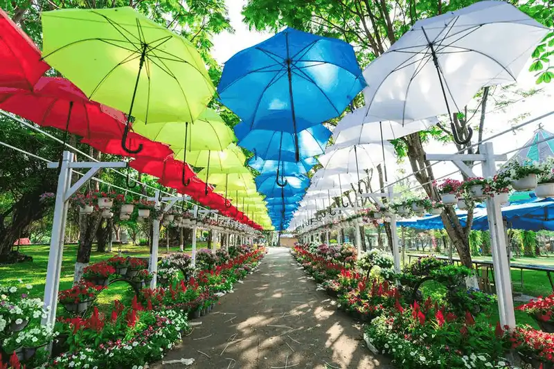 wanderlust tips thanh dia song ao tai Da Lat thu nho giua trung tam Bien Hoa 13