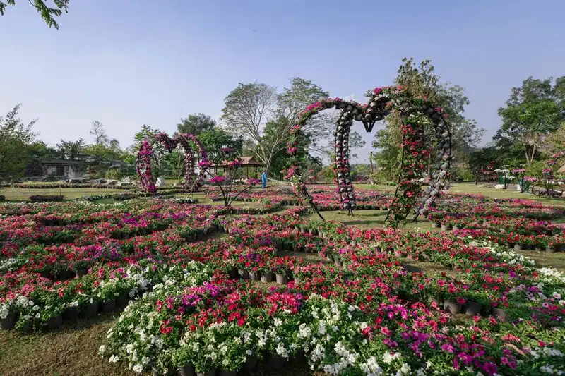 wanderlust tips thanh dia song ao tai Da Lat thu nho giua trung tam Bien Hoa 8