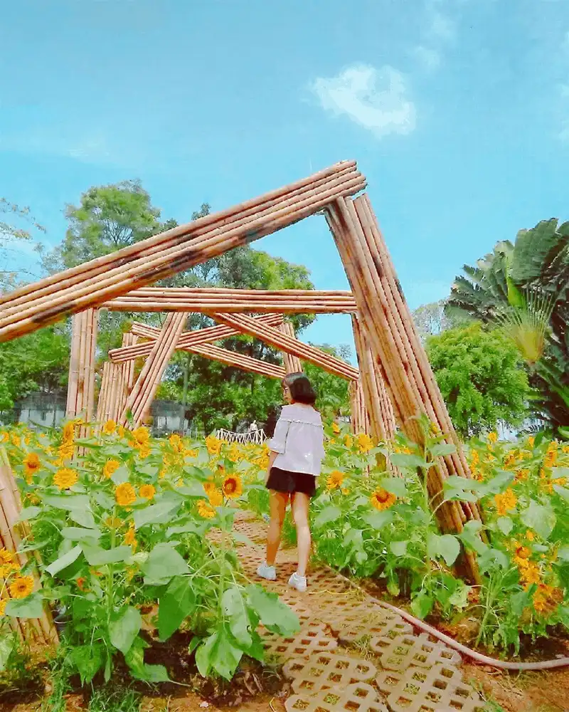 wanderlust tips thanh dia song ao tai Da Lat thu nho giua trung tam Bien Hoa 9 1