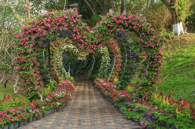 wanderlust tips thanh dia song ao tai Da Lat thu nho giua trung tam Bien Hoa 9