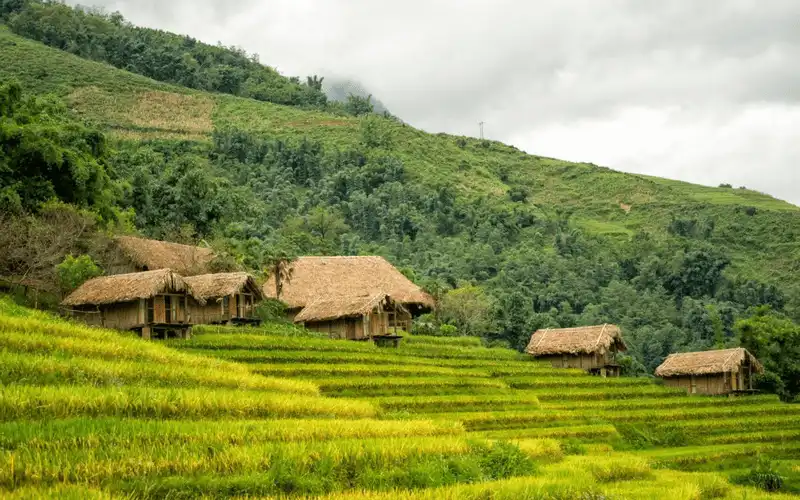 Nghị định mới quy định các điểm du lịch phải có nhà vệ sinh sạch sẽ 5 wanderlust tips theo nghi dinh diem du lich bat buoc phai co nha ve sinh sach se 2