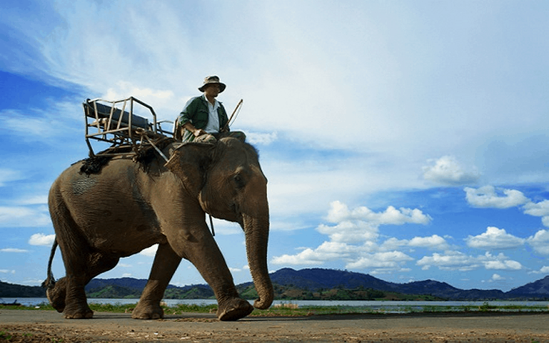 5 phương tiện du lịch độc đáo tại Việt Nam 5 wanderlust tips 5 phuong tien du lich doc dao tai Viet Nam 5 1
