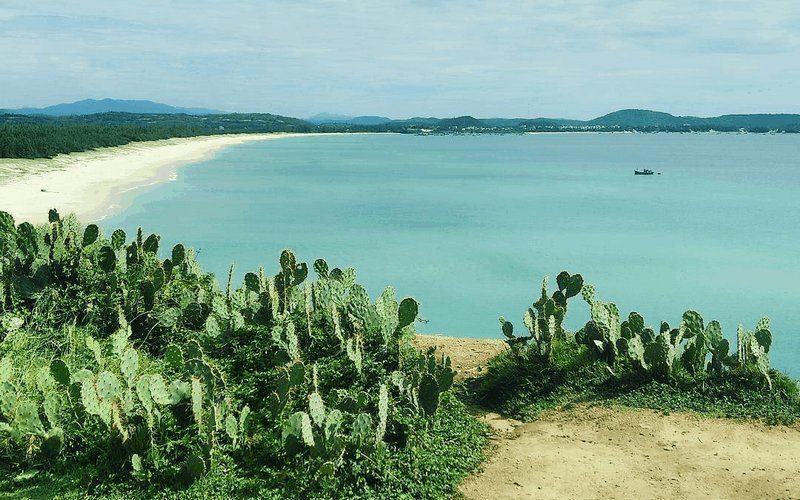 Khám phá vùng đất trên phim “Tôi thấy hoa vàng trên cỏ xanh”