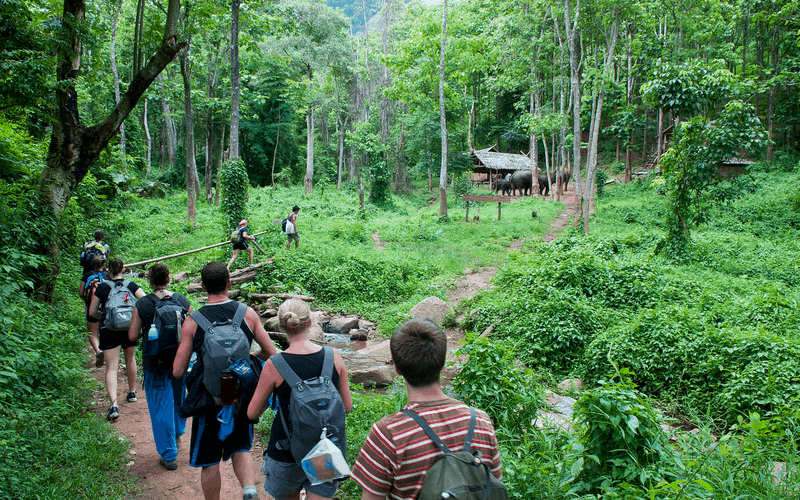 wanderlust tips lam sao de song xot khi di du lich rung 11