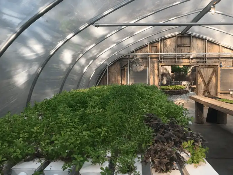 Wanderlust Tips 5 khu nghi duong noi tieng hoat dong theo mo hinh nong trai 7