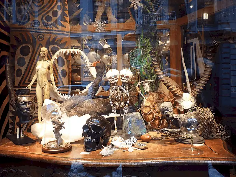 Wanderlust Tips Den mua sam o vien bao tang The Evolution Store3