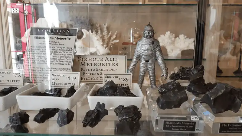 Wanderlust Tips Den mua sam o vien bao tang The Evolution Store4