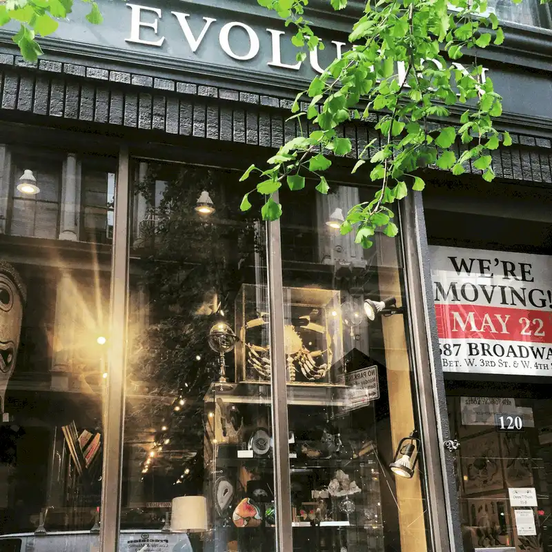 Wanderlust Tips Den mua sam o vien bao tang The Evolution Store7