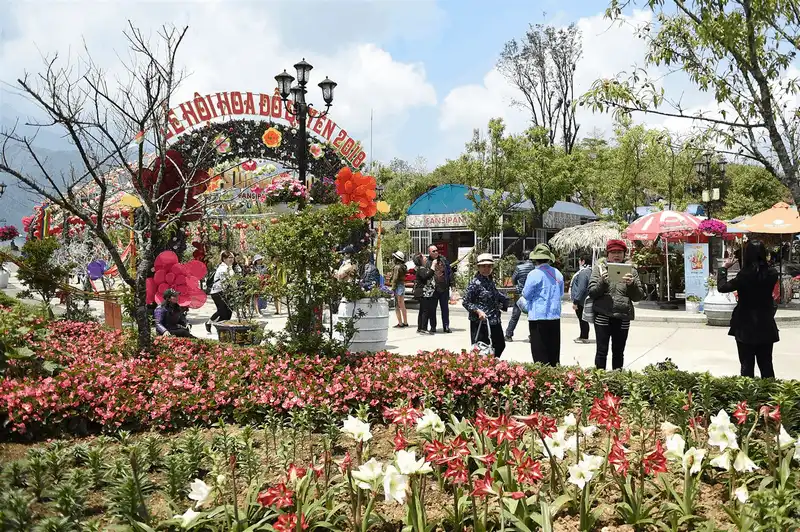 Wanderlust Tips Len Fansipan tham gia le hoi hoa do quyen 20187