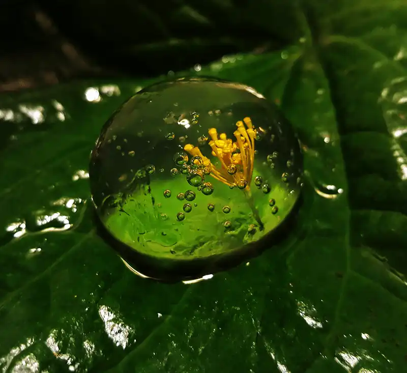 Top 5 nhà hàng tốt nhất Bangkok, Thái Lan 12 Wanderlust Tips Lua chon tuyet hao cho diem den an uong o Bangkok 8