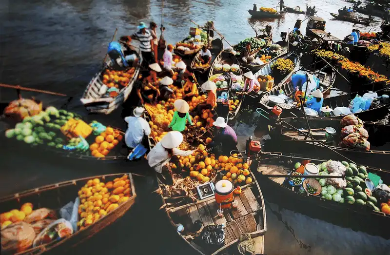 Vẻ đẹp đất trời sông nước Năm Căn - điểm cực Nam Tổ quốc 11 Wanderlust Tips Song giu dat troi song nuoc Nam Can diem cuc nam to quoc 3 Copy